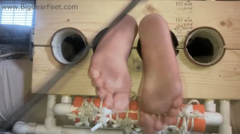 Slap and Tickle - bastinado and tickling big size 13 wide feet.webp