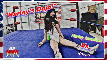 Harley's Dojo!.webp