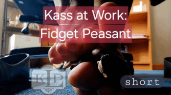 Kass at Work- Fidget Peasant Short Version.webp