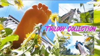 Unaware In A Dandelion Jungle EXTREME POV - Trilogy Collection - HD 1080p Version.webp