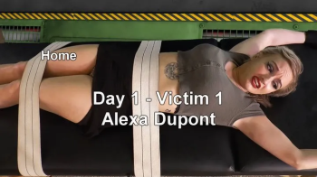 Collector 2 - Part 1 - Alexa Dupont.webp