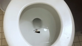Tiny Ship in Giantess Toilet 1080.webp