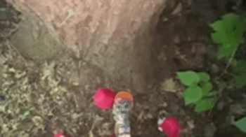 Giantess Vs Tiny Village 1080 smaller.webp