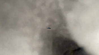 Teenie in Gassy Giantess Back Pocket 1080.webp