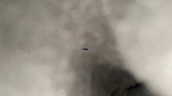 Teenie in Gassy Giantess Back Pocket 4k.webp