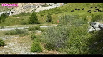 Hogtied & Helpless in the Alps – Riverbank Rope Capture - MOV.webp
