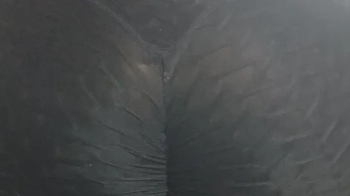 My farts in leggings sitting on your cock throwing out vibrant farts enclosed in my leggings.webp
