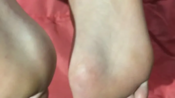 HAIRBRUSH SOLES TICKLE.webp
