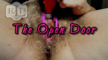 The Open Door.webp