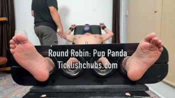 Round Robin- Pup Panda.webp