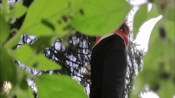 Lost in the Garden's Arteries 720HD.webp