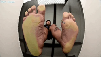 Hunny 's smelly worn socks DOMINATE tiny men! GIANTESS!! BARE EDITION- MOV.webp