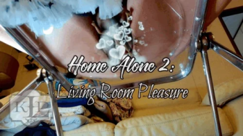 Home Alone 2- Living Room Pleasure.webp