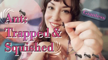Ant- Trapped and Squished.webp