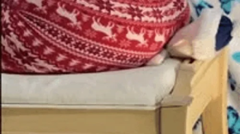 Goddess Gabbie21 Vault Fan Christmas Custom Unaware to Aware Sitting on Ex-Charlie (side view).webp