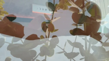 Jack and the bean stalks.webp