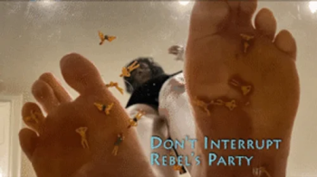 Dont Interrupt Rebels Party - HD 1080p Version - Under Glass Micro People On Her Kitchen Floor.webp