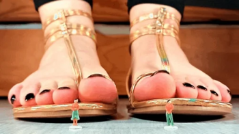 Giant Femboy crushes Tinies under Golden Sandals [1080p].webp