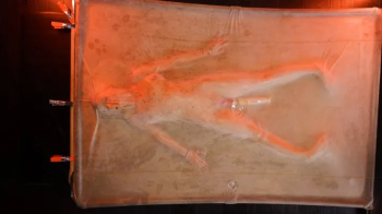 Vanna Smith in vacbed.webp