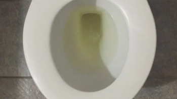 I PISS GOLD.webp