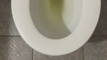 I PISS GOLD IN MY TOILET.webp
