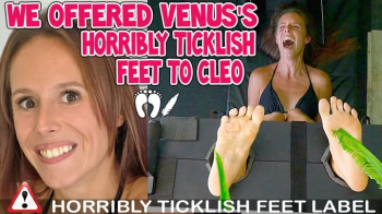WE OFFERED VENUS'S HORRIBLY TICKLISH FEET TO CLEO - HD WMV.webp