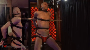 TONY TIED TO POST AND BALLGAGGED HD 720p.webp