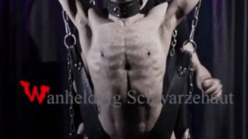 ZEUS SUSPENDED for TEST of ENDURANCE HD 720p.webp