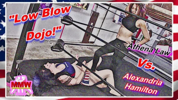 Low-Blow Dojo!.webp
