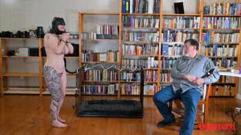 MinxGrrl - Bad Slave Is Caged and Ass Plugged (MP4 Format).webp
