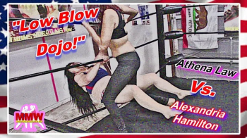 Low Blow Dojo! WMV.webp
