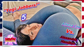 Yogi Jobbers! 5 WMV.webp