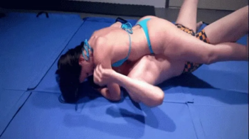 V359 Constance VS Hanz.webp