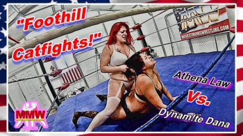 Foothill Catfights!.webp