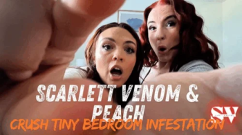 Scarlett Venom & Peach Crush Tiny Bedroom Infestation in POV Torment Duo.webp