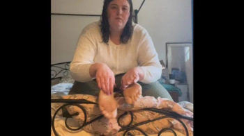 Tickles And Giggles - A Very Ticklish BBW Afternoon.webp