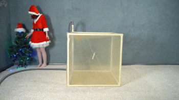 Vacuum Dreams - Dreams come true or Sonya in a transparent cube.webp