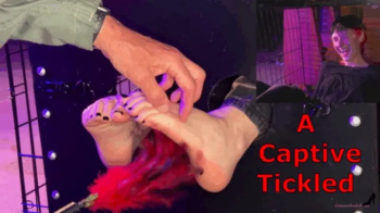 Autumns Below The Belt Fantasies - A Captive Tickled - Smokin Rose Foot Tickling Slave Tickling Feet.webp
