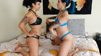 Mia's Menagerie - Bedroom Wrestling With Sushi.webp
