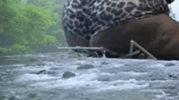 Mxdominionakacrushgoddess Clips - Giantess Special effects - Giantess MXDominion uses Enormous ass.webp