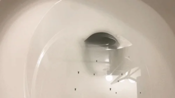 Mxdominionakacrushgoddess Clips - Tiny employees go for a Swim in Giantess Boss Toilet 1080.webp