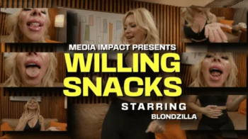 Media Impact Customs - Willing Snacks.webp