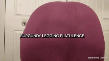 The Rabbit Hole - BURGUNDY LEGGING FLATULENCE.webp