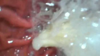 Nicoletta Embassi - Banana digestion full video - Extreme Vore in very high resolution 720HD.webp