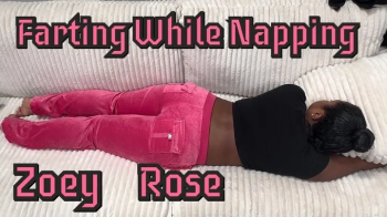 Scarlett And Friends - Napping and Farting.webp